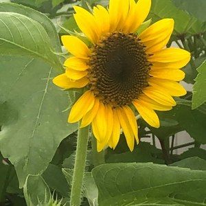 Meet your Posher, Cathy